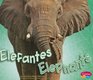 Elefantes/ Elephants