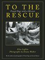 To the Rescue Found Dogs with a Mission