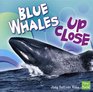 Blue Whales Up Close