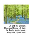 Life and Her Children; Glimpses of Animal Life from the Amba to the Insects
