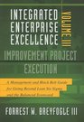 Integrated Enterprise Excellence Vol III Improvement Project Execution A Management and Black Belt Guide for Going Beyond Lean Six Sigma and the Balanced Scorecard