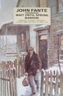 Wait Until Spring, Bandini (Panther Books)