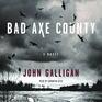 Bad Axe County A Novel