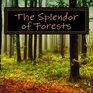The Splendor of Forests A Picture Book for Seniors Adults with Alzheimer's and Others