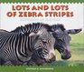 Lots and Lots of Zebra Stripes Patterns in Nature