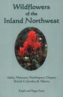 Wildflowers of the Inland Northwest