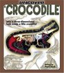 Uncover a Crocodile (Uncover Books)