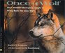 Once a Wolf How Wildlife Biologists Brought Back the Gray Wolf
