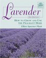 Lavender How to Grow and Use the Fragrant Herb