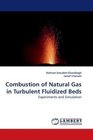 Combustion of Natural Gas in Turbulent Fluidized Beds Experiments and Simulation