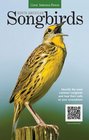 North American Songbirds Identify the most common songbirds and hear their calls on your smartphone