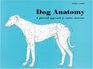 Dog Anatomy A Pictorial Approach to Canine Structure