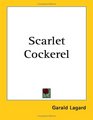 Scarlet Cockerel