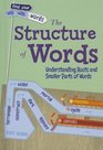 The Structure of Words Understanding Prefixes Suffixes and Root Words