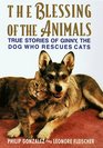The Blessing of the Animals True Stories of Ginny the Dog Who Rescues Cats