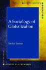 A Sociology of Globalization (Contemparary Societies)