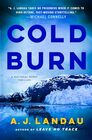 Cold Burn A Novel