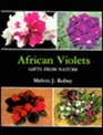 African Violets: Gifts from Nature