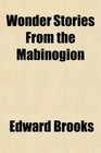 Wonder Stories From the Mabinogion