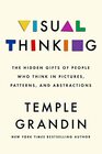 Visual Thinking The Hidden Gifts of People Who Think in Pictures Patterns and Abstractions