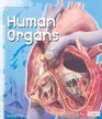 Human Organs