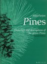 Pines Drawings and Descriptions of the Genus Pinus