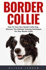 Border Collie How to Train Your Border Collie Dog  Discover The Ultimate Training Techniques for Your Border Collie