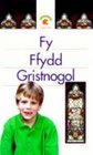 Fy Ffydd Gristnolgol Big Book