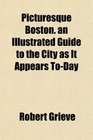 Picturesque Boston an Illustrated Guide to the City as It Appears ToDay