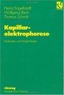 Kapillarelektrophorese Methoden und Mglichkeiten