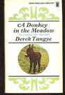 Donkey in the Meadow