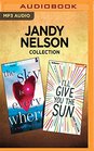 Jandy Nelson Collection  The Sky is Everywhere  I'll Give You the Sun