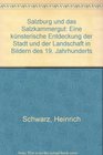 Salzburg und das Salzkammergut Eine kunstlerische Entdeckung d Stadt u d Landschaft in Bildern des 19 Jh