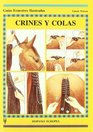 Crines Y Colas