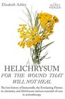 Helichrysum For The Wound That Will Not Heal The Lost History of Immortelle The Everlasting Flower Its Chemistry and Helichrysum Italicum Essential  Aromatherapy