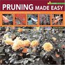 Garden Know How: Pruning Made Easy (Garden Know How)
