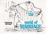 Crazy World of Marriage