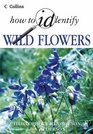 How To Identify Wild Flowers