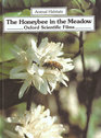 The Honeybee in the Meadow