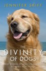 The Divinity of Dogs True Stories of Miracles Inspired by Man's Best Friend