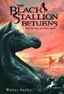 The Black Stallion Returns (Black Stallion, Bk 2)