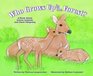 Who Grows Up in the Forest A Book About Forest Animals and Their Offspring