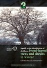 A Guide to the Identification of Deciduous Broad  Leaved Trees and Shrubs in Winter
