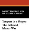 Tempest in a Teapot The Falkland Islands War