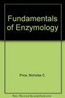 Fundamentals of Enzymology 2e
