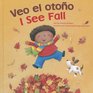 Veo el otoo / I See Fall