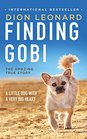 Finding Gobi A Little Dog with a Very Big Heart