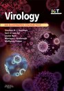 Virology An Illustrated Colour Text