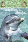 Dolphins and Sharks A Nonfiction Companion to Dolphins at Day Break