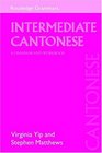 Intermediate Cantonese : A Grammar and Workbook (Routledge Grammars)